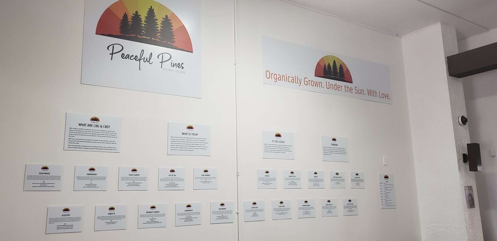 Peaceful Pines Hemp Farm informational display on wall.