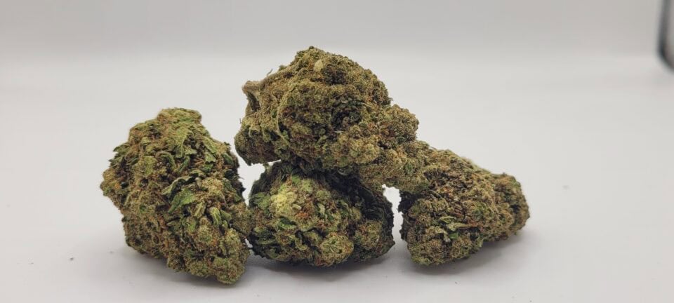 Close-up of cannabis buds on white background.