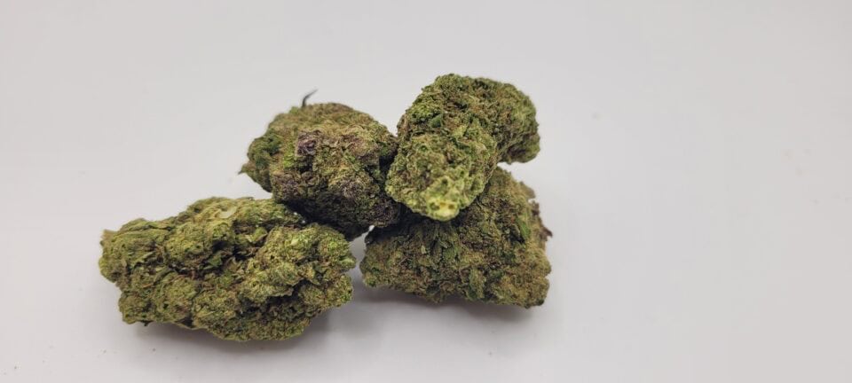 Three cannabis buds on white background.