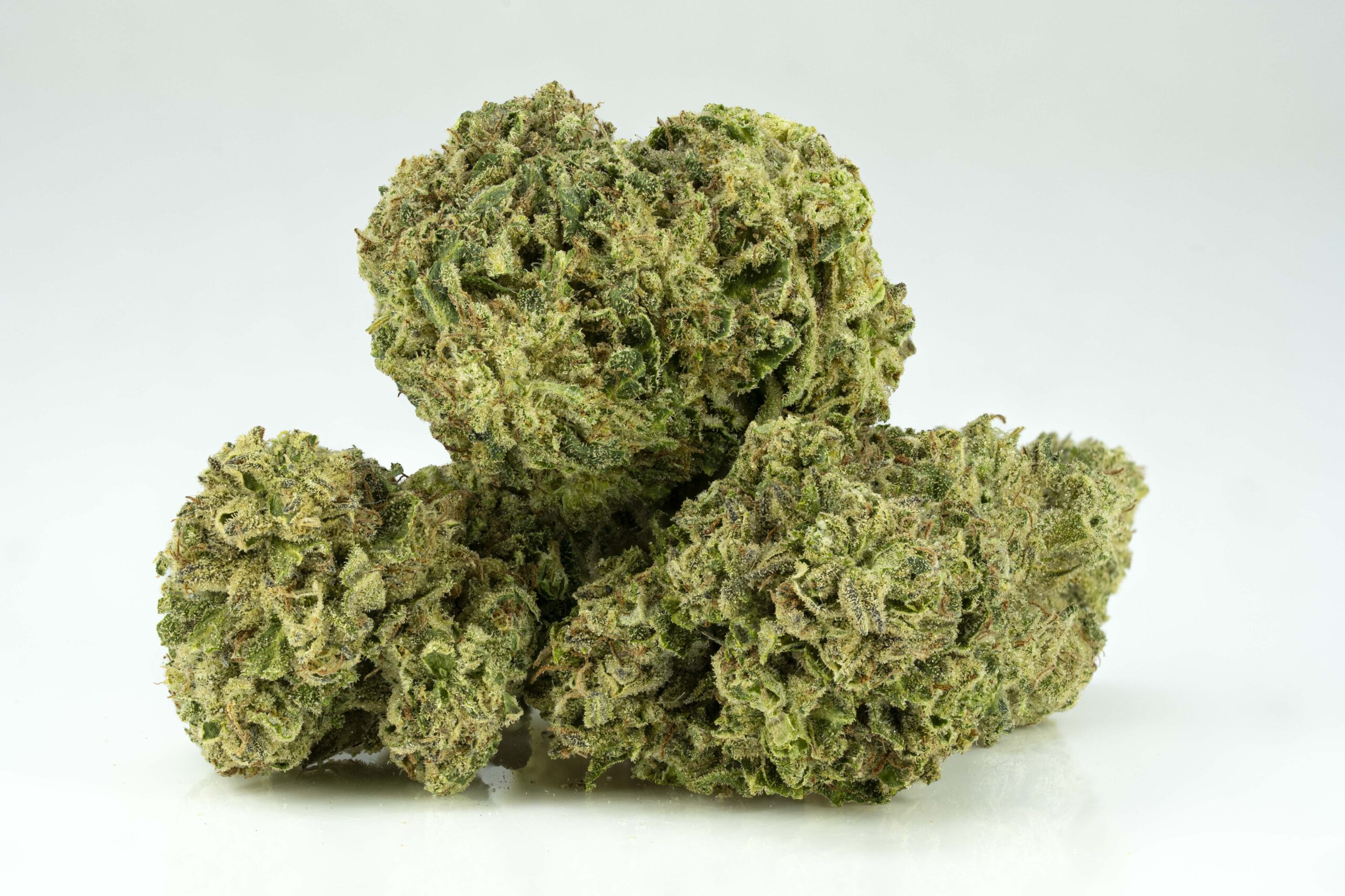 Close-up of cannabis buds on white background.