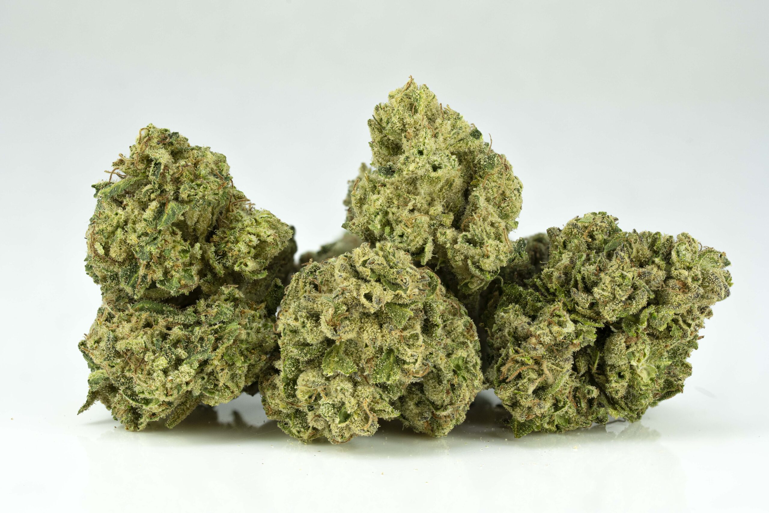 Fresh cannabis buds on white background.