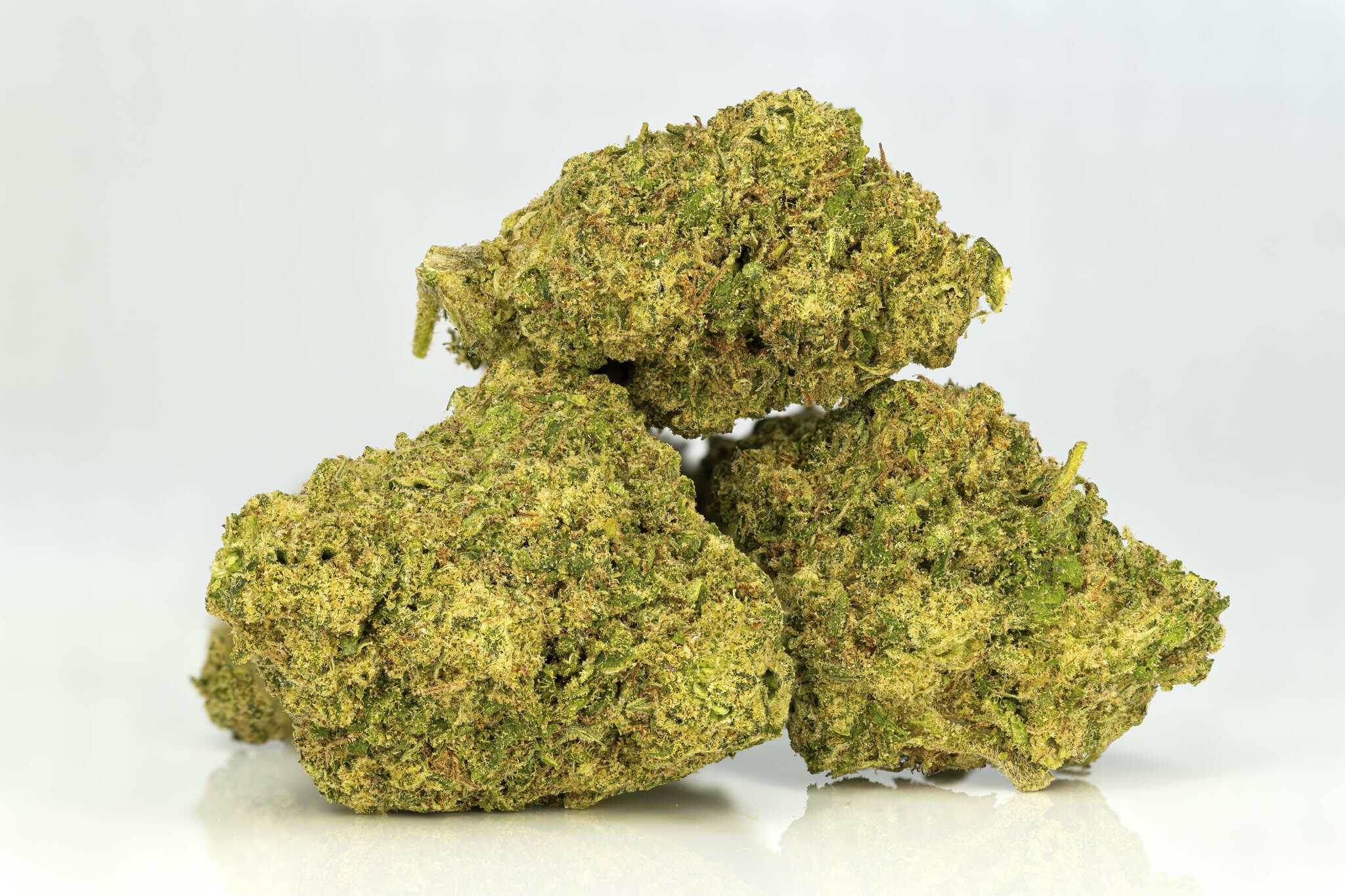 A pile of green marijuana buds on a white background.