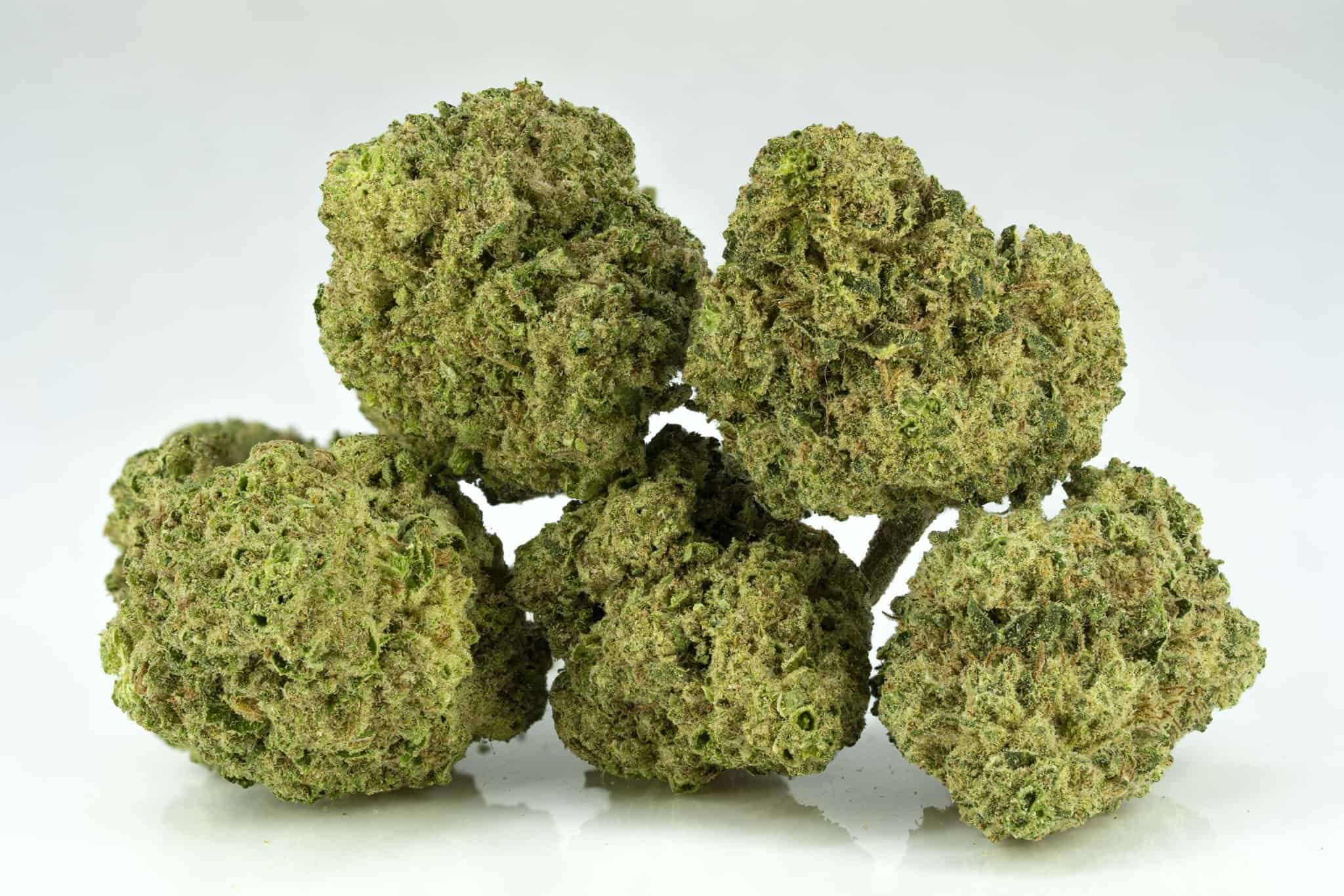 Close-up of cannabis buds on white background.