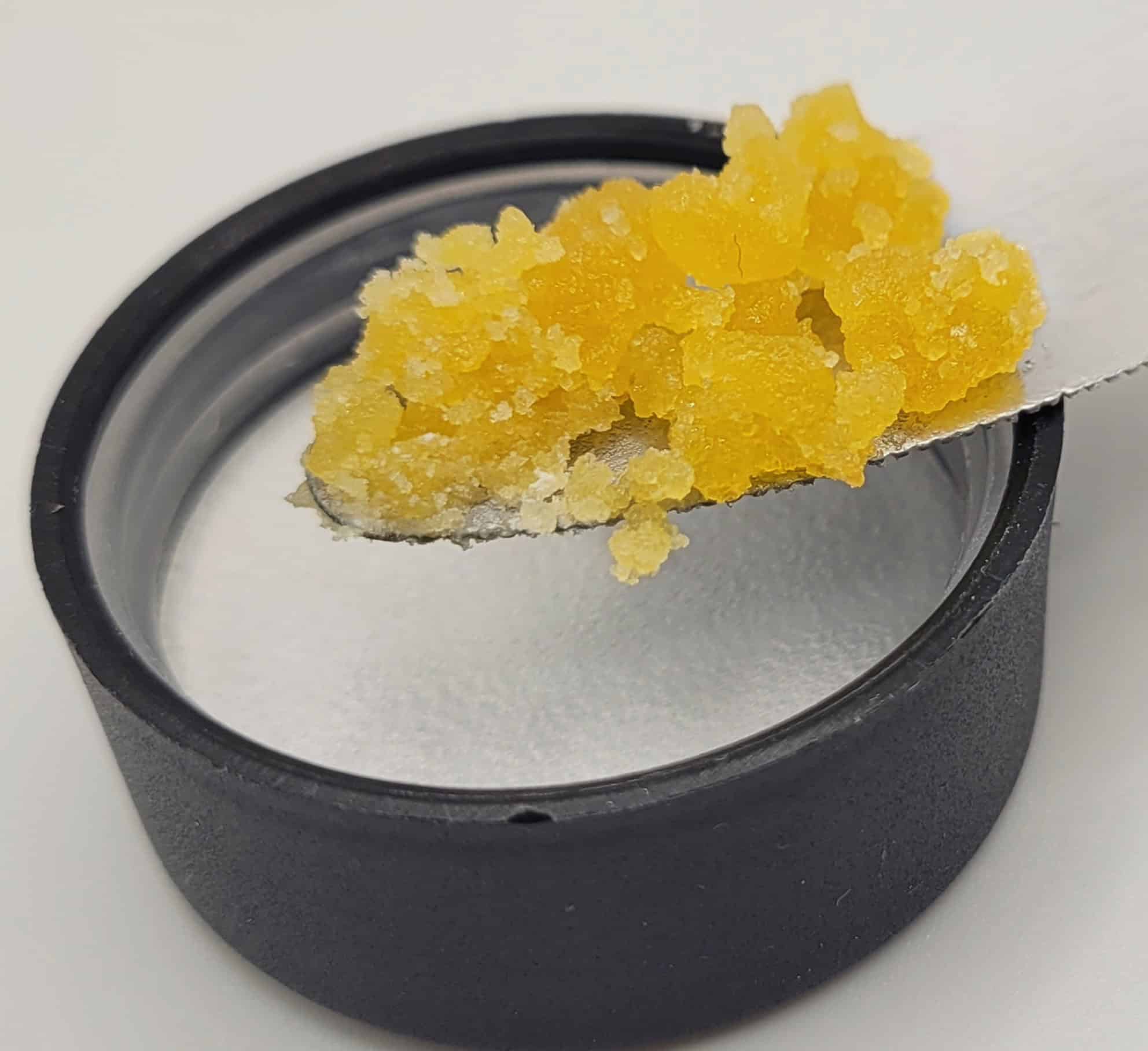 Yellow cannabis concentrate on metal tool.