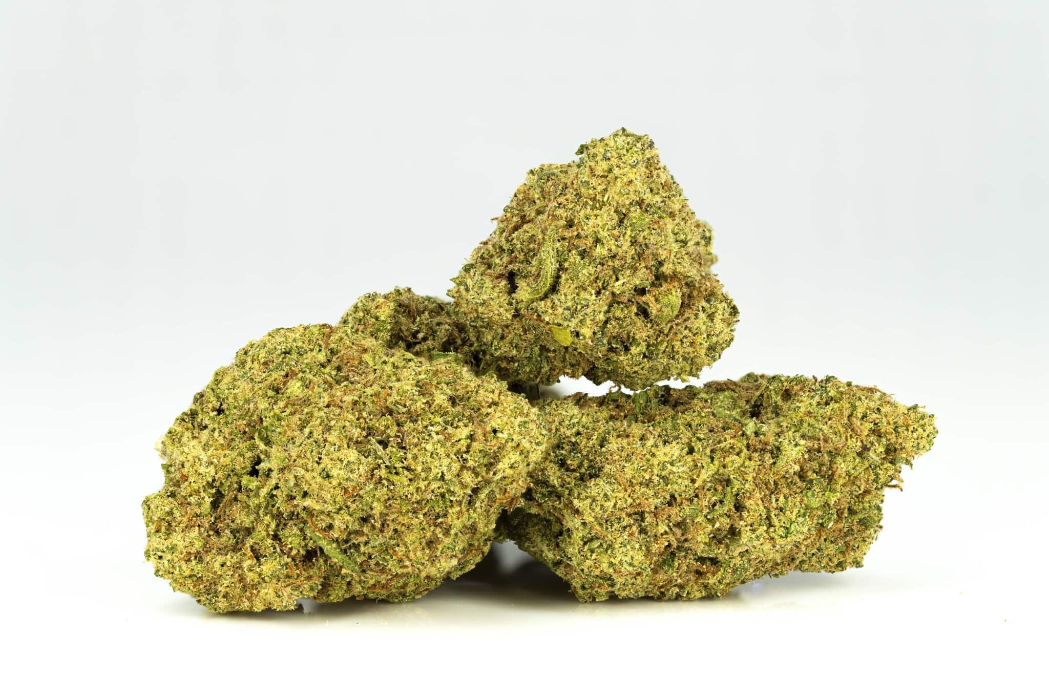 Close-up of cannabis buds on white background.