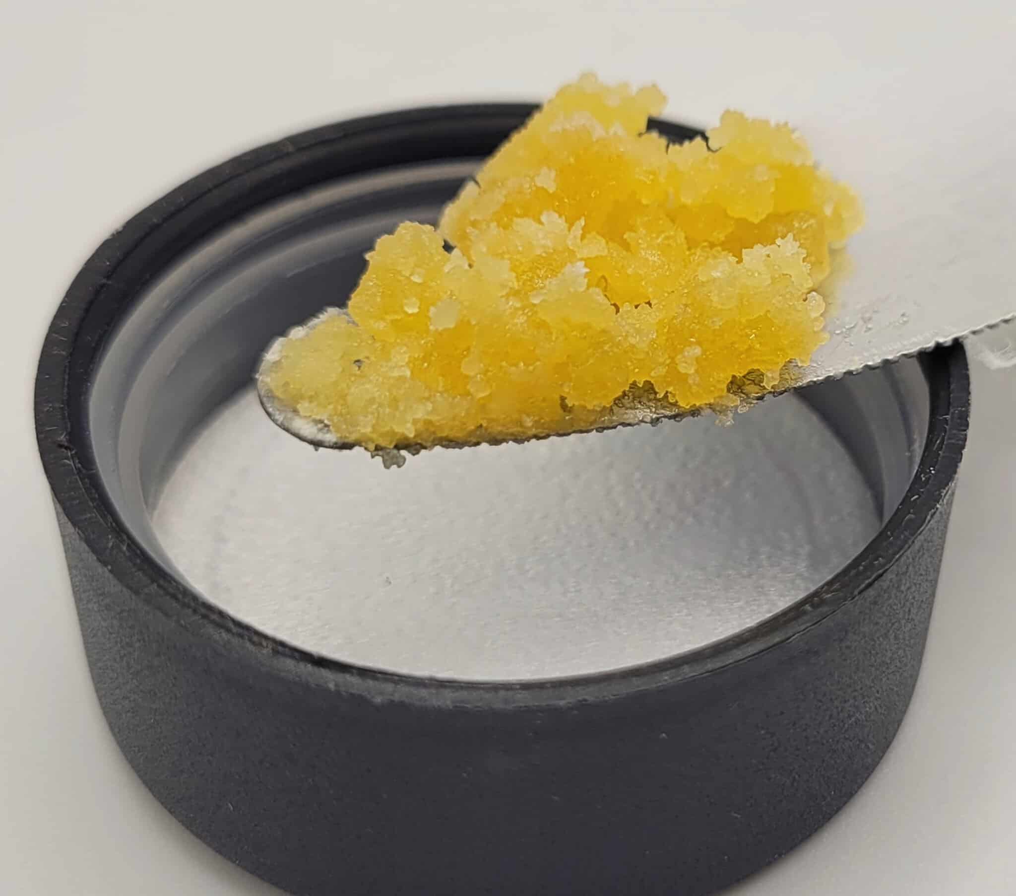 Yellow cannabis concentrate on metallic tool, black container