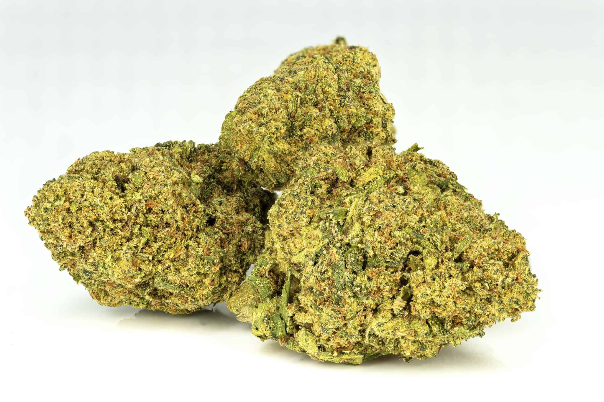 Close-up of cannabis buds on white background.