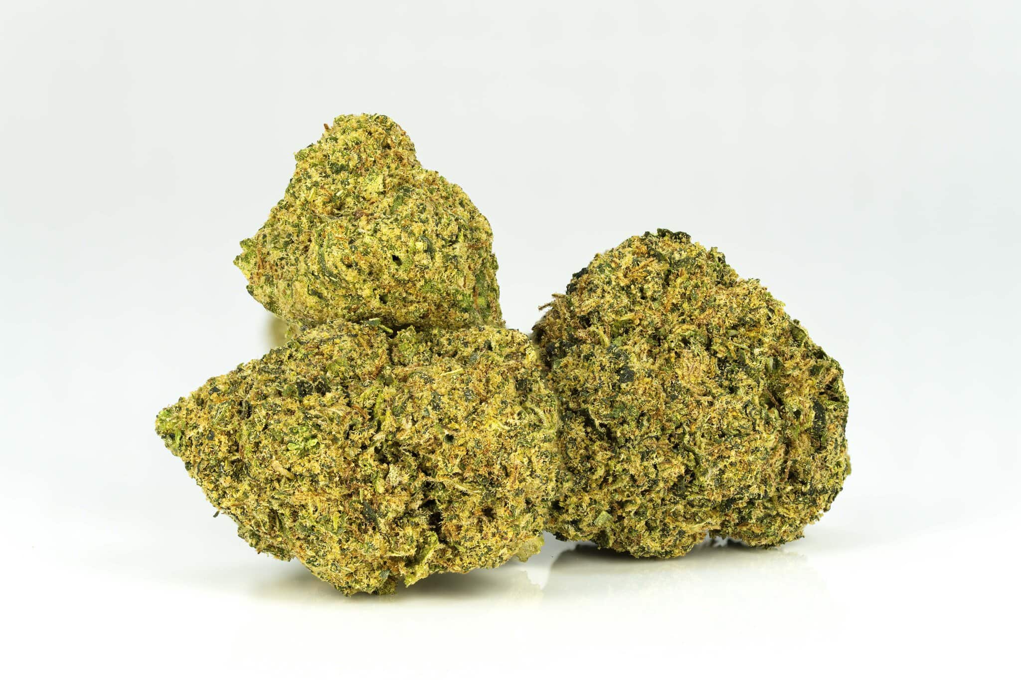 Three cannabis buds on white background.