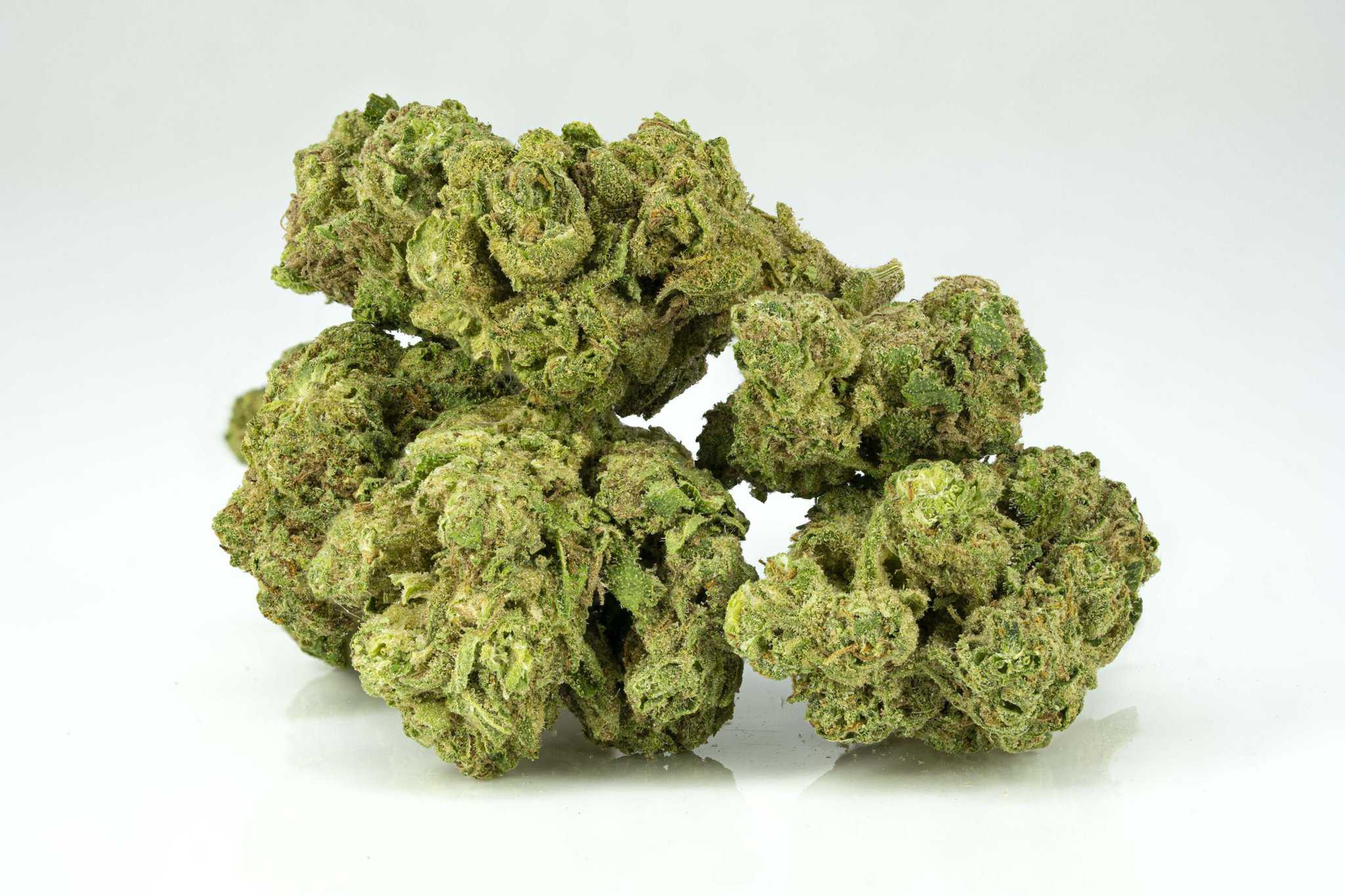 Close-up of green cannabis buds on white background