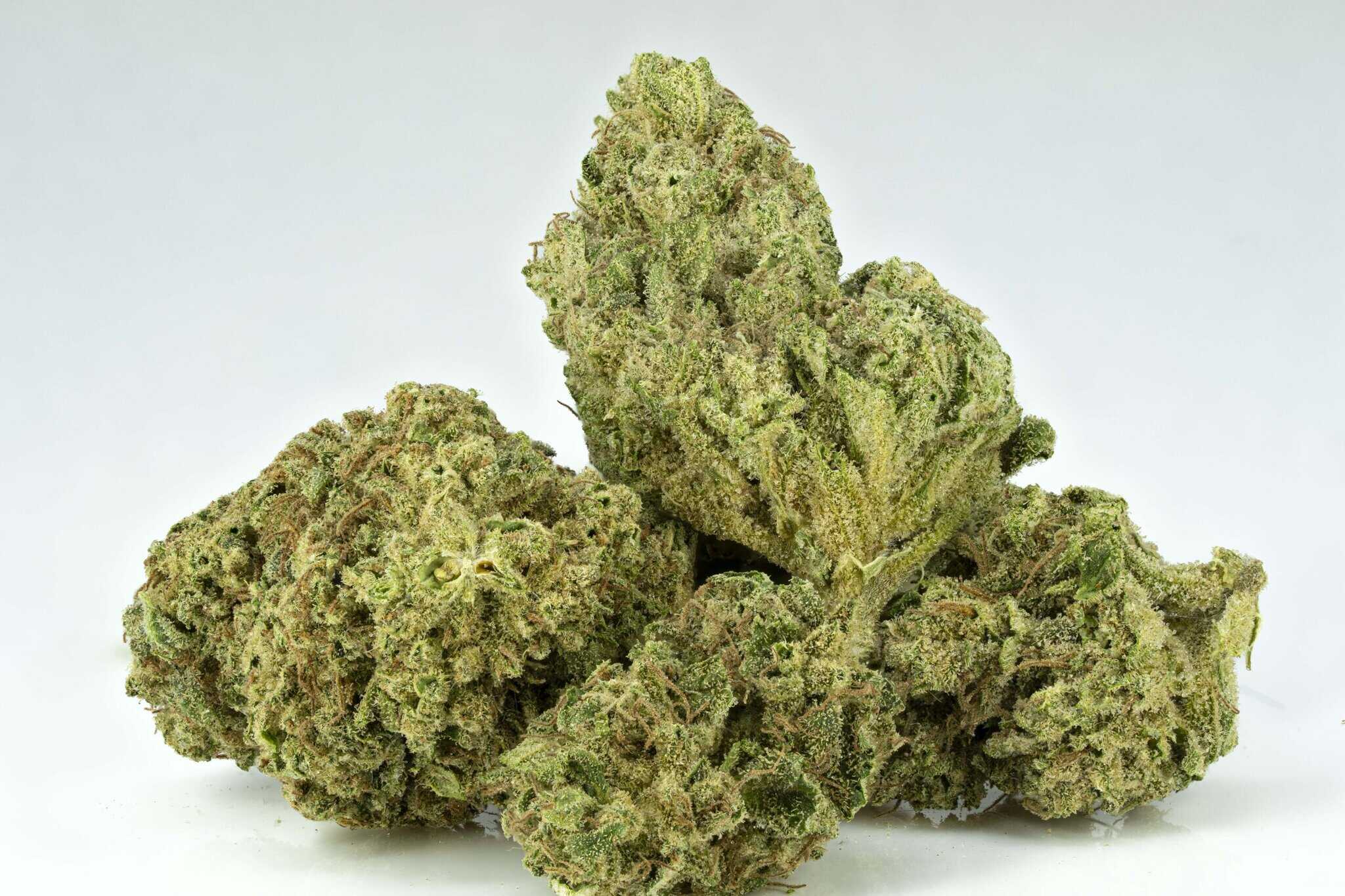Close-up of cannabis buds on white background.