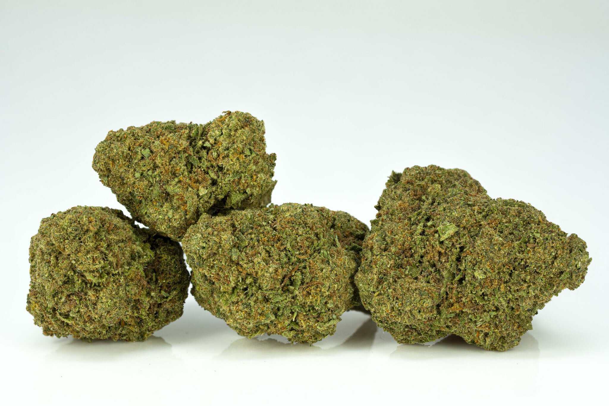 Close-up of cannabis buds on white background.