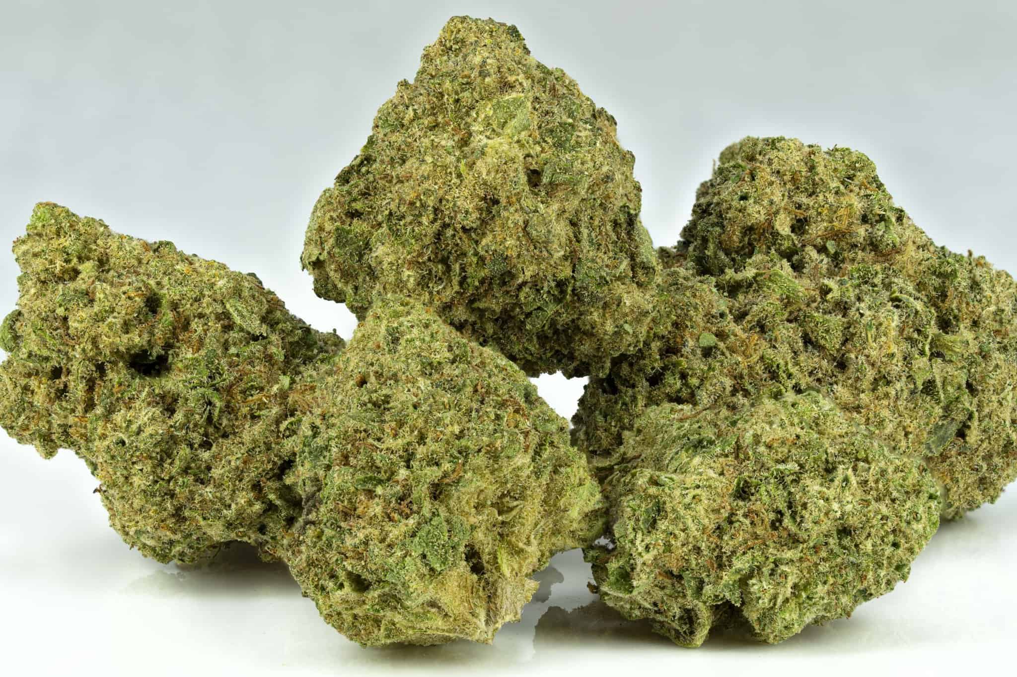 Close-up of cannabis buds.