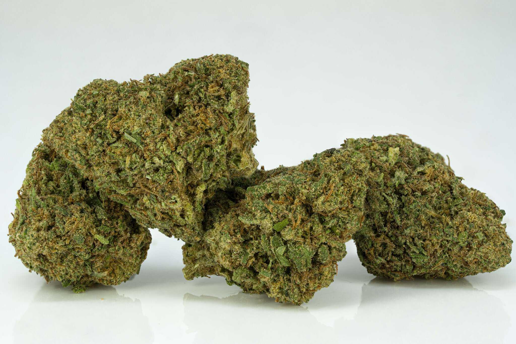 Close-up of dried cannabis buds on white background