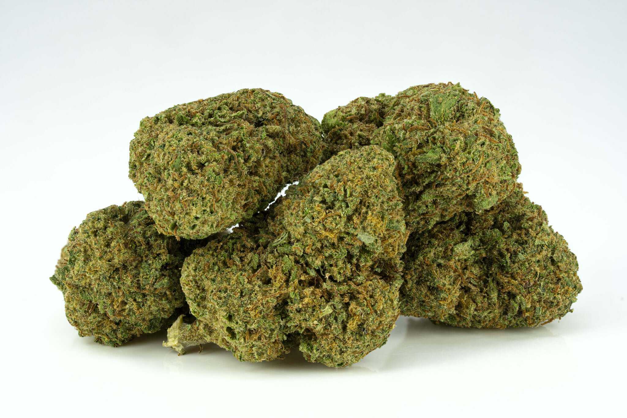 Close-up of cannabis buds on white background