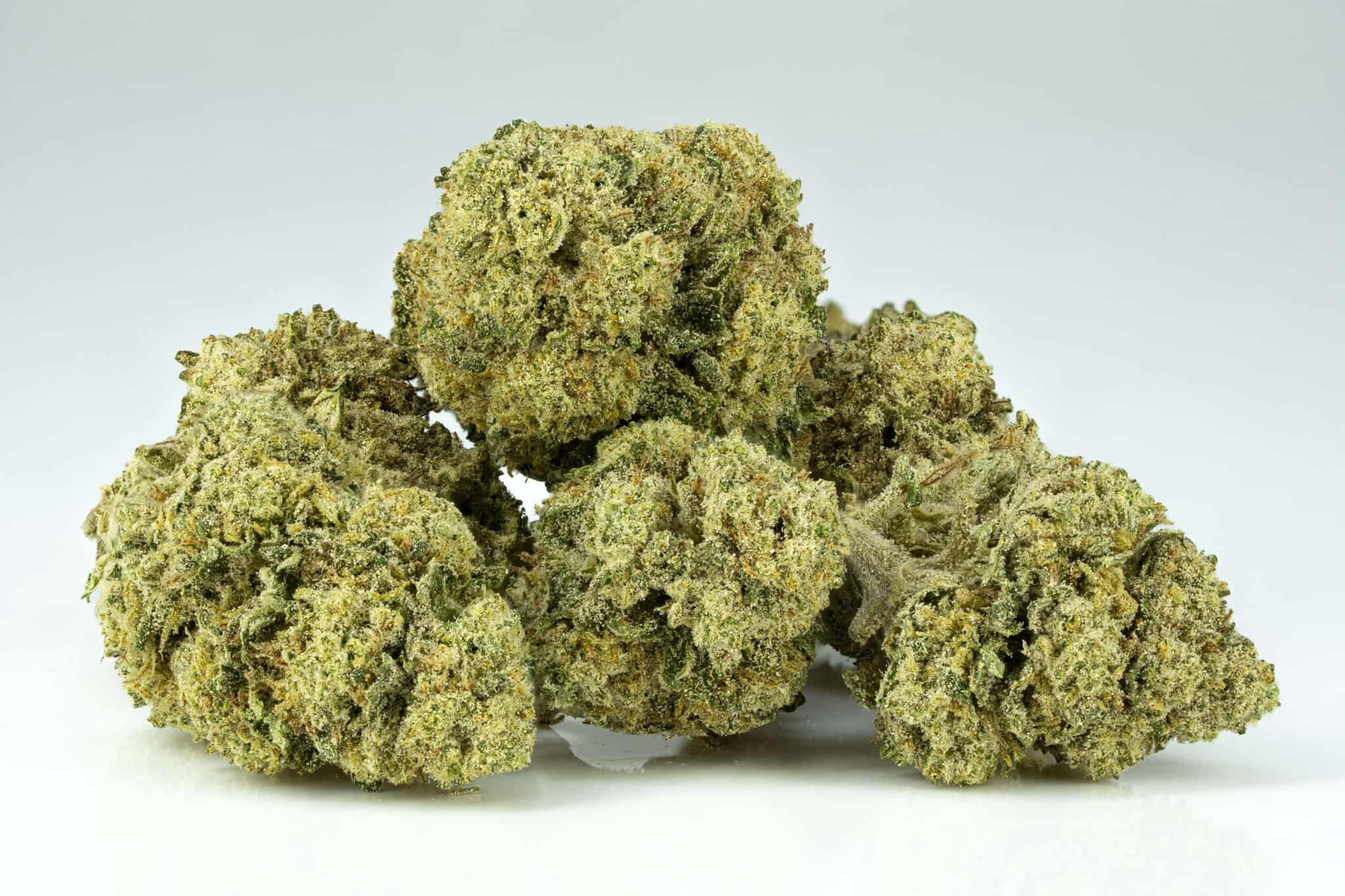 Close-up of dried cannabis buds on white background