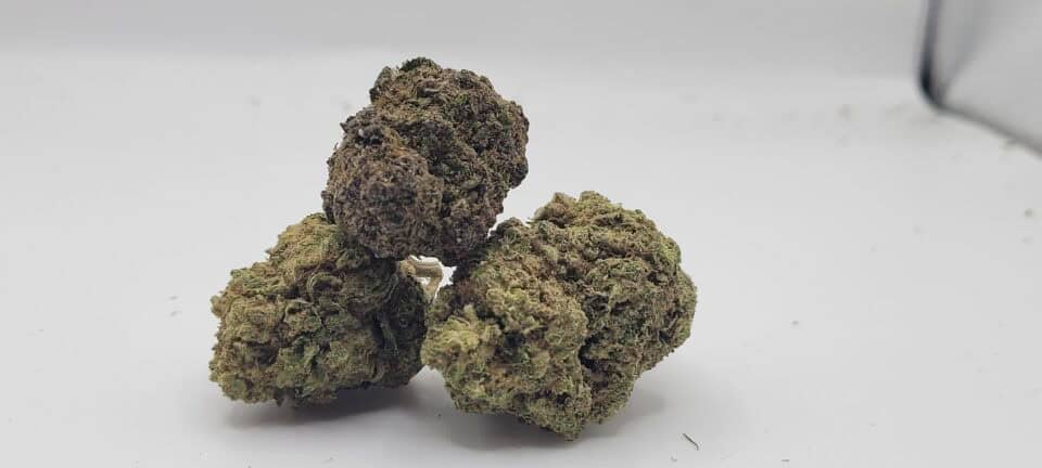 Close-up of three cannabis buds on white background.