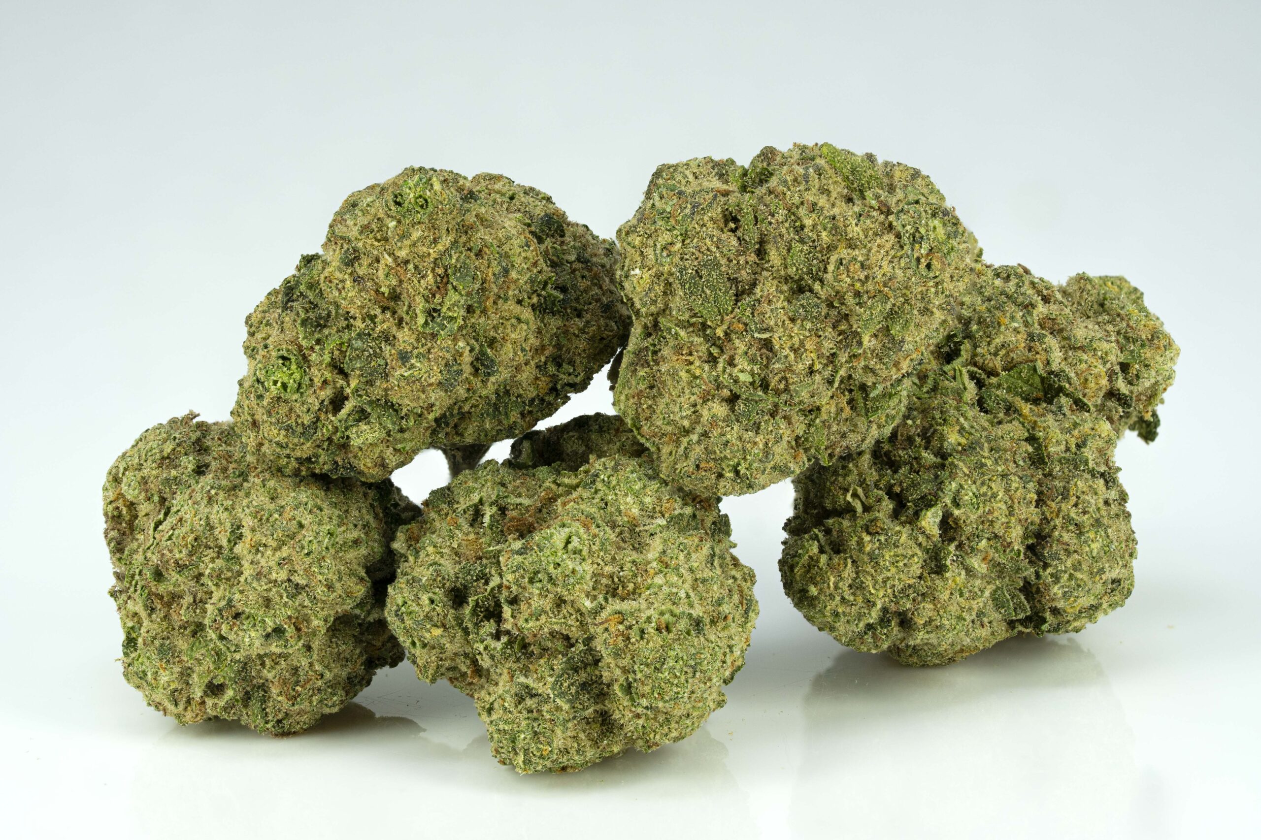 Close-up of cannabis buds on white background