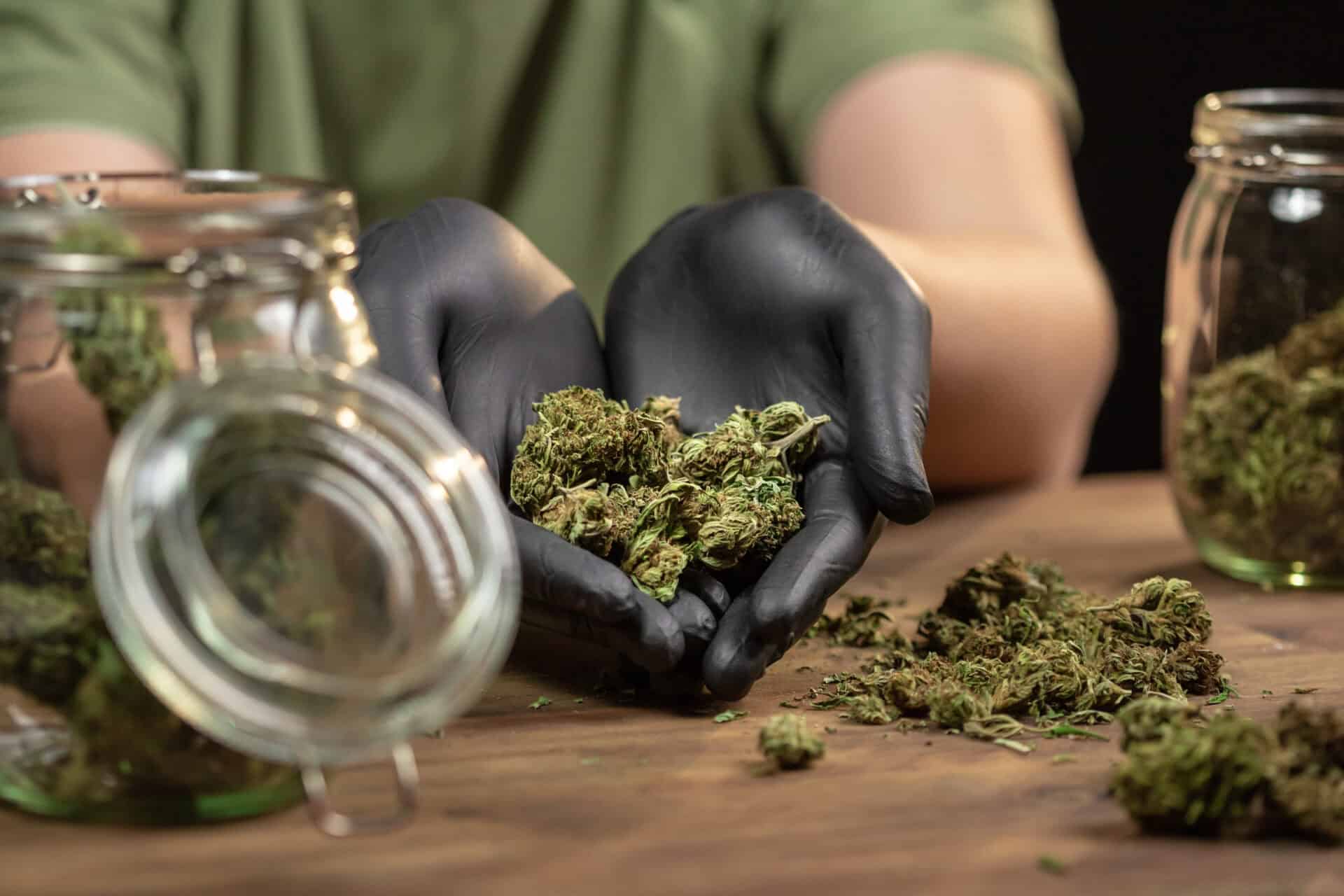 Cannabis buds in a glass jar ready for consumption.